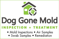 Dog-Gone-Mold-FMAP-2019 Dog Gone Mold FMAP